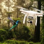 drone