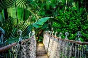 Economia ecológica na construção de um futuro sustentável, Dia da Amazônia