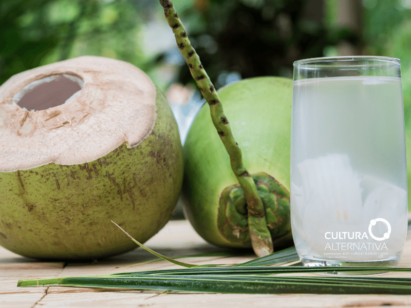 Água de coco - Cultura Alternativa