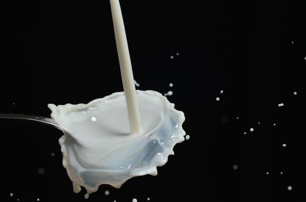 Dia Internacional do Leite, intolerância à lactose