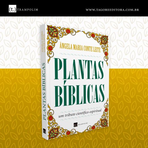 Cultura Alternativa