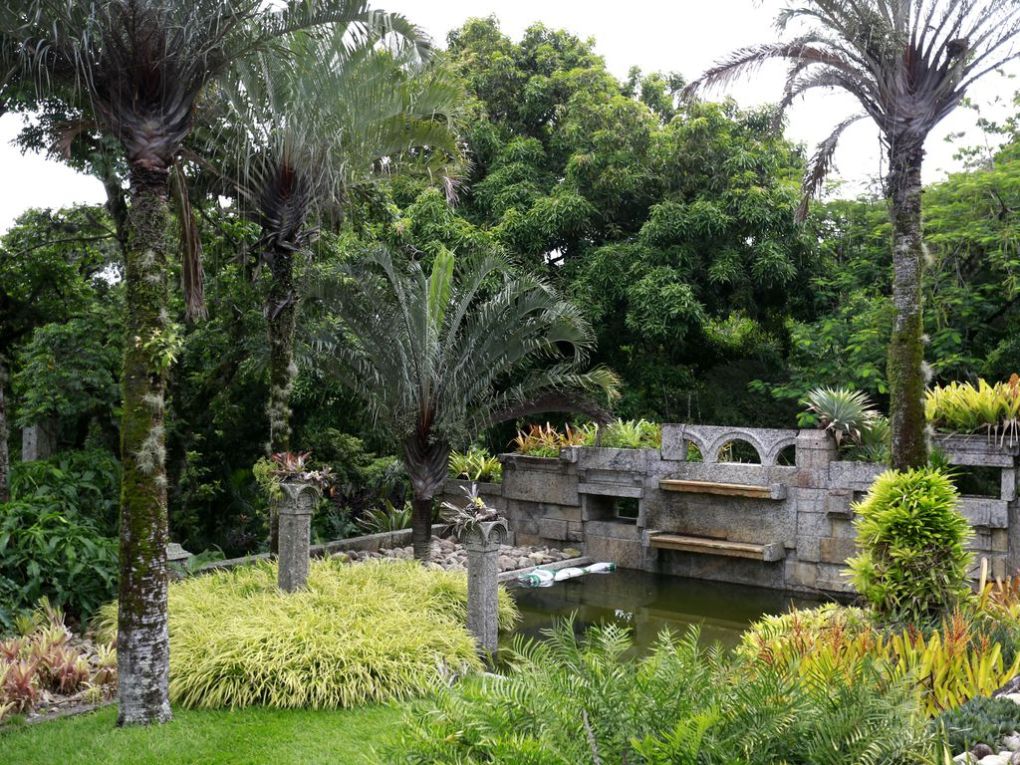 Roberto Burle Marx - Cultura Alternativa