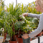 Casa pronta para o verão - Cultivo de hortas caseiras - Cultura Alternativa