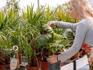 Casa pronta para o verão - Cultivo de hortas caseiras - Cultura Alternativa