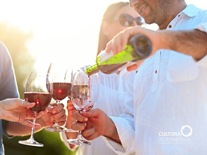Guia básico do vinho - Cultura Alternativa