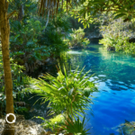 Cenotes na Riviera Maya - Cultura Alternativa