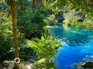 Cenotes na Riviera Maya - Cultura Alternativa