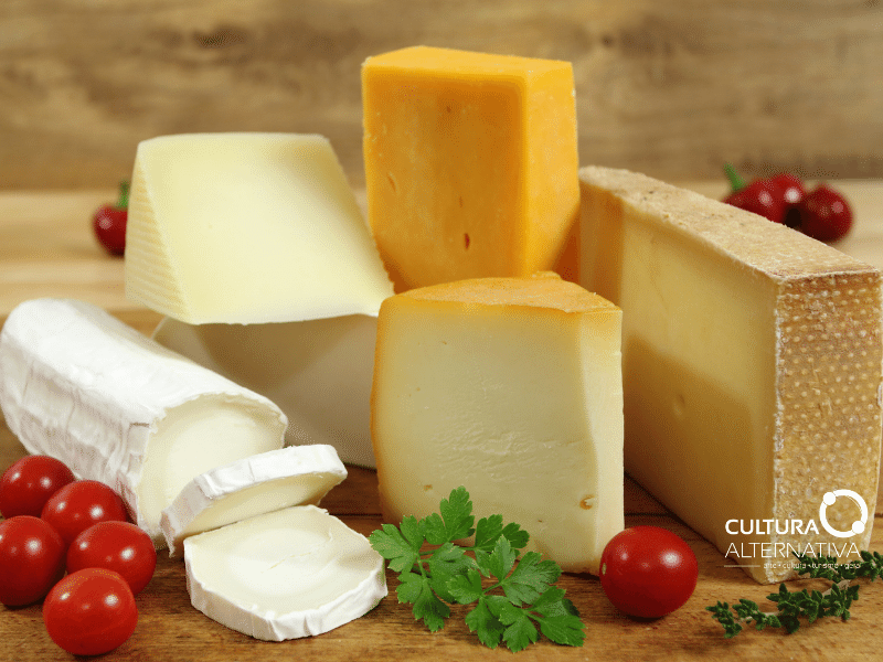 Mitos e verdades sobre queijos - Cultura Alternativa