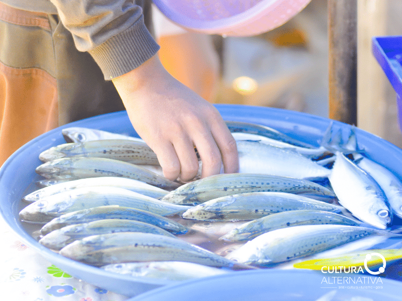 Consumidor de pescado no Brasil - Site Cultura Alternativa