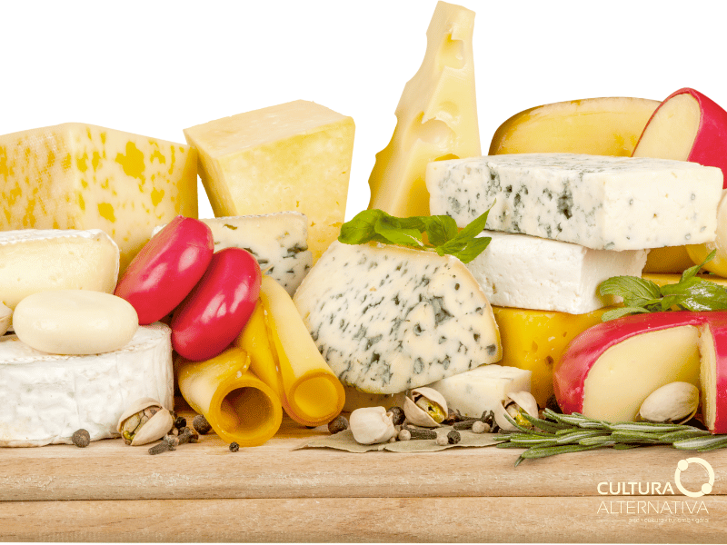 O consumo de queijos - Rota do queijo - Cultura Alternativa