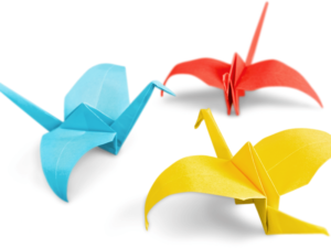 Dobrando folhas de Origami - Cultura Alternativa