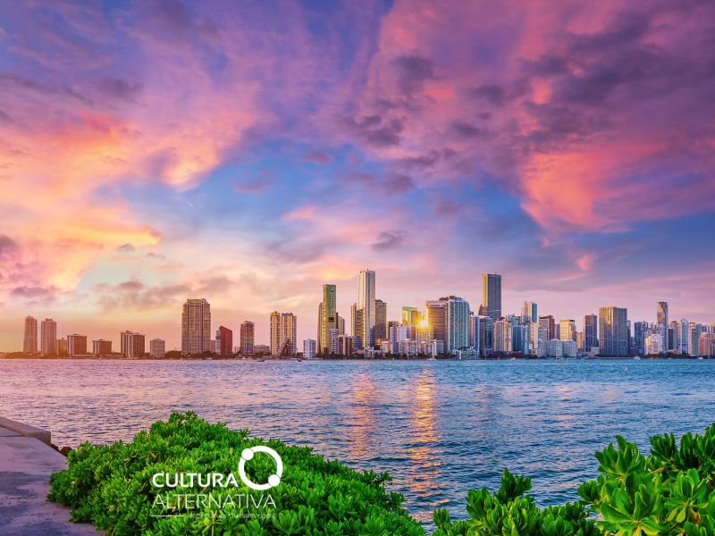Dias longos em Miami - Cultura Alternativa