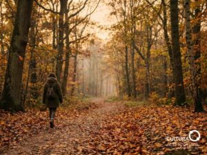 Outono e seus efeitos na natureza - Site Cultura Alternativa