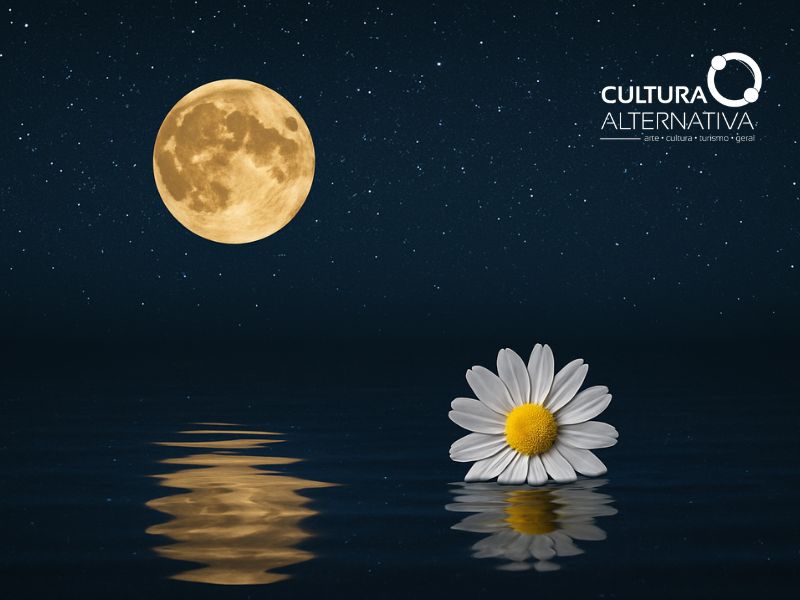 Se você sente que foi injustiçado tente se ver pelo olhar do outro - Cultura Alternativa