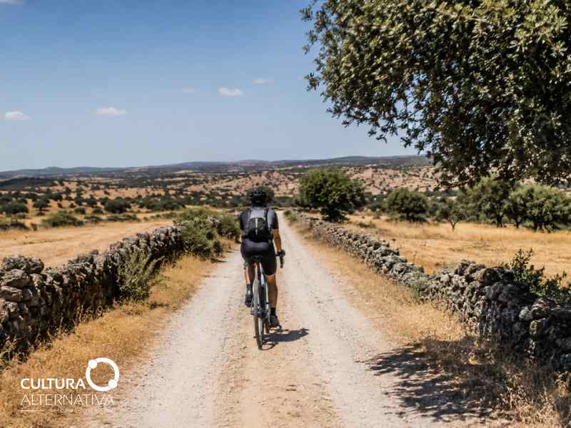Como conhecer o Alentejo de bicicleta