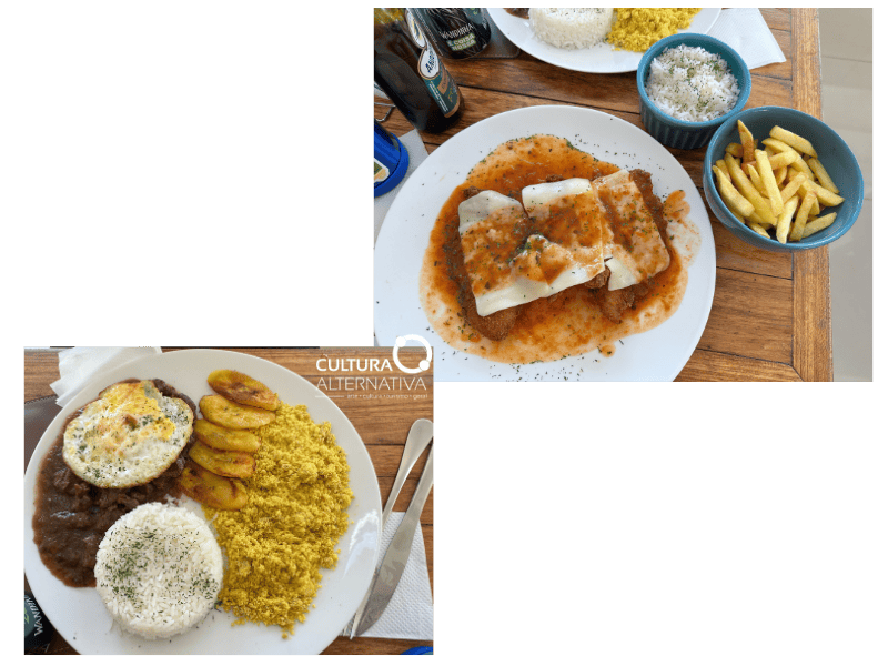 Saucker sem gluten - Cultura Alternativa