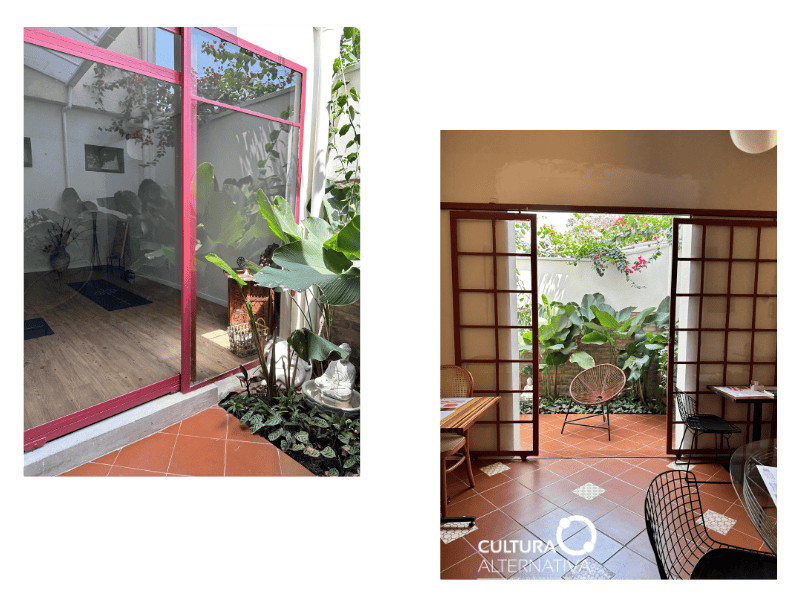 Dona Fiica - Site Cultura Alternativa