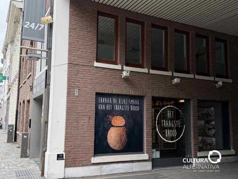 BroodNodig - Site Cultura Alternativa